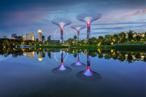 Gardens by the Bay